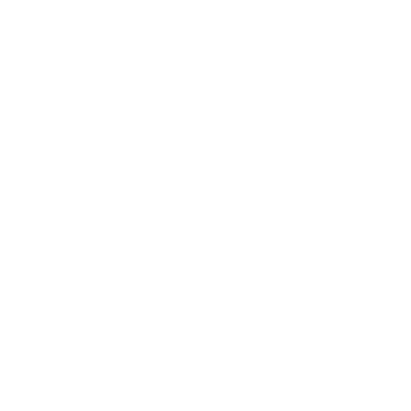 Adobe Logo